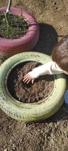 IMG b6a3e410b8184cf2f1e71ef3ff30952d V