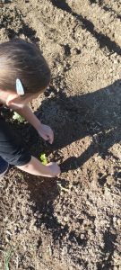 IMG c2eb02b7bd0fb41bf0c435766aad667f V