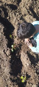 IMG f856e6bff9a2fb65b678c34a7a541c46 V