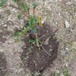 received 774884754268622