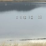 received 1247790580179580