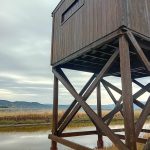 received 24144586751799537