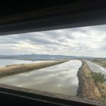 received 624810567238878