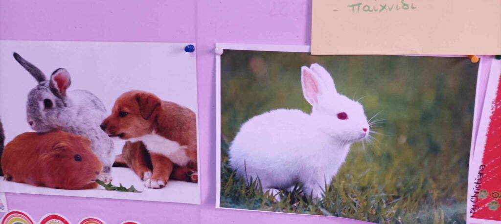 b85c4bac ac67 46a9 9430 717fc1bfa5d5 1