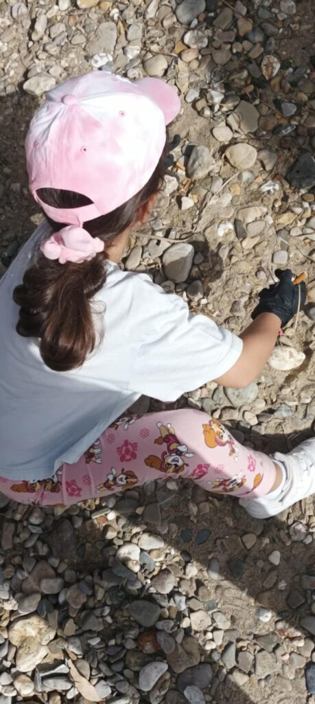 f1cf3c3e 11e7 4794 ad72 a458167fa5b1