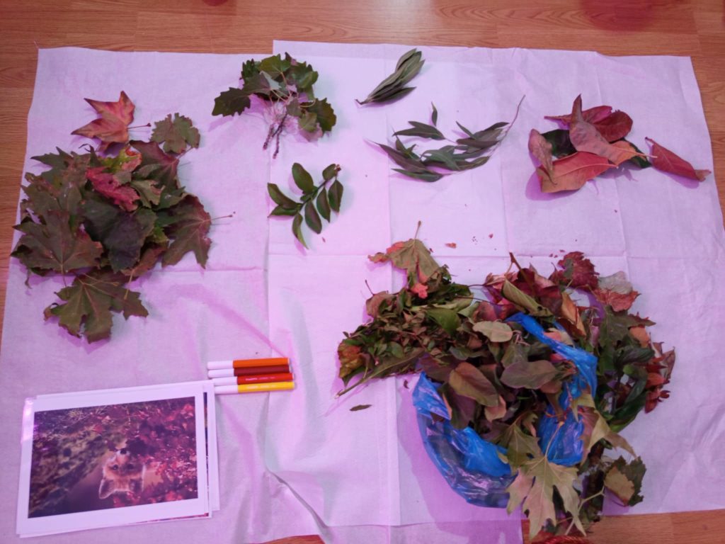 f02bb9c5 b7c8 4105 8b5f 4fe4af7c8bdd