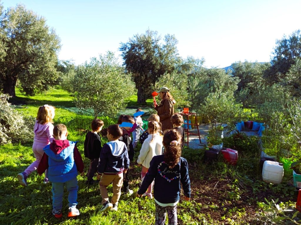 02bb77ed 098f 47ab 8b6a 5b071f0d98aa