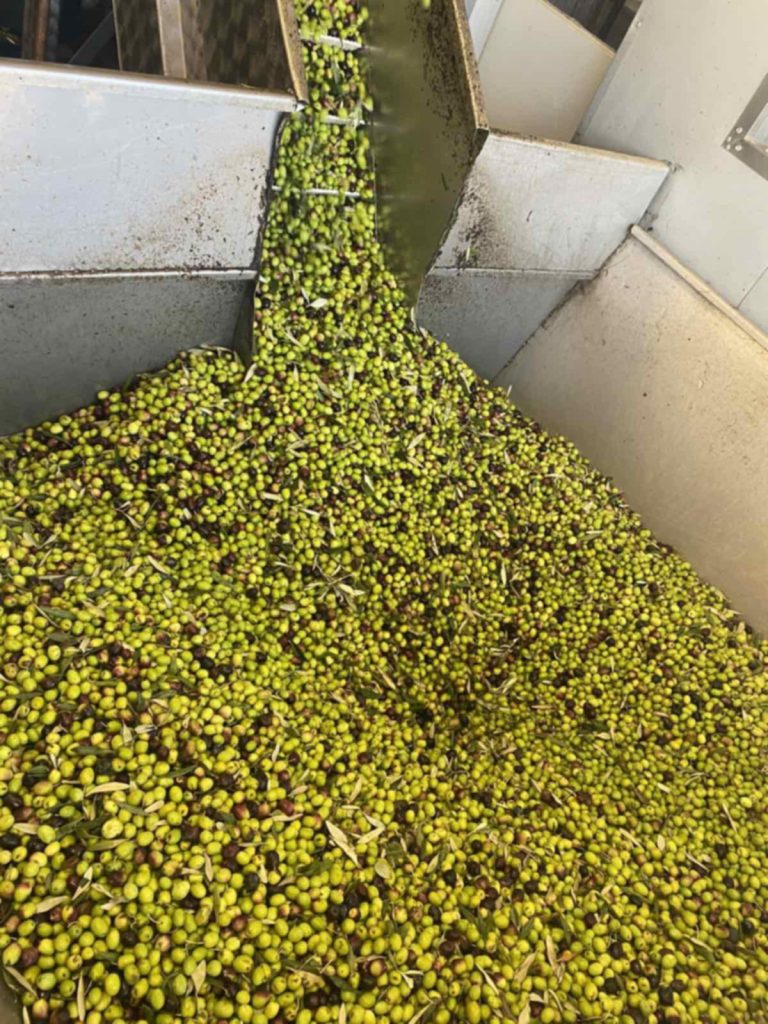 c92721cd 64e5 4027 aecb 8522ba81468c