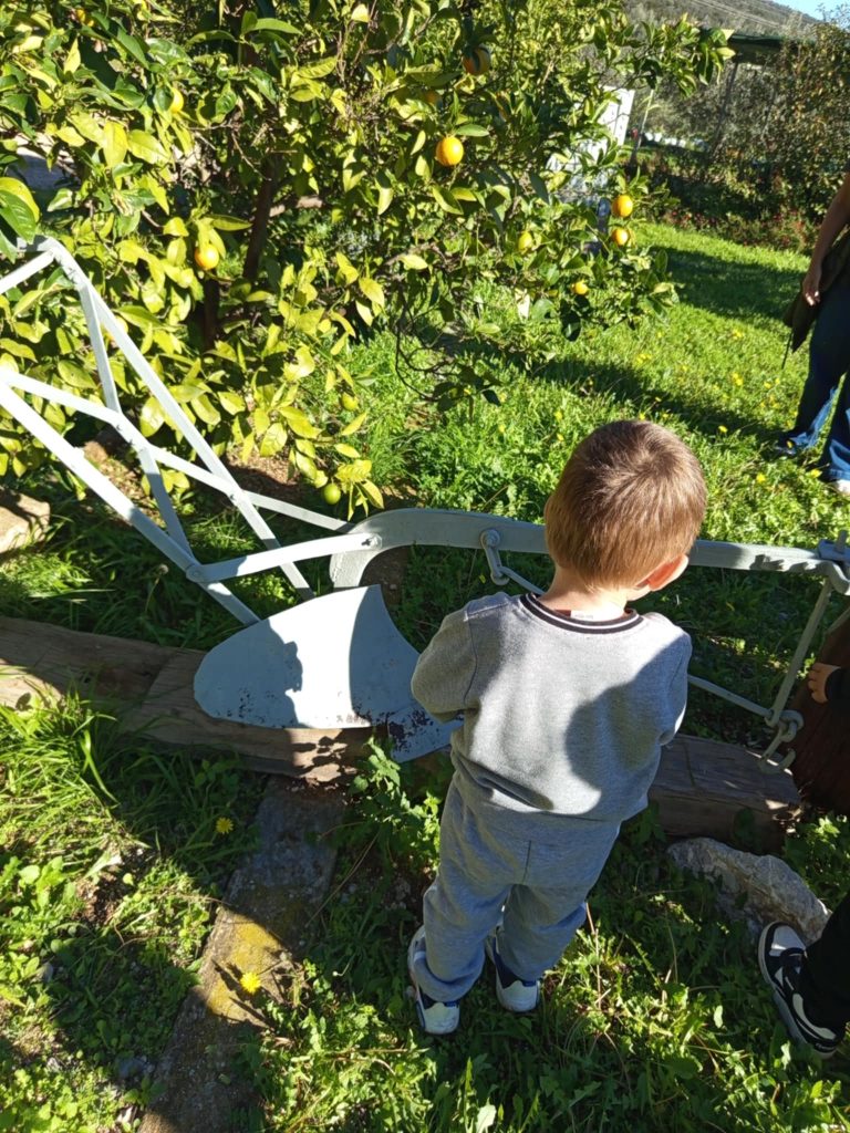 f07a89a4 f3e6 4411 b43a 69af153dd84e