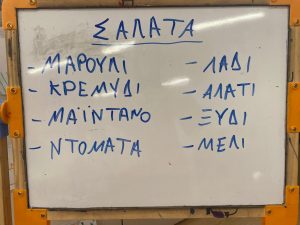 IMG 4597