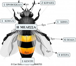 H μέλισσα έχει τόσα