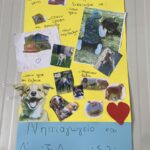 received 285225187669779