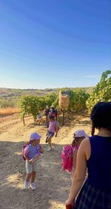 258e53bf db5e 4ff1 a578 145b3ebe94b4