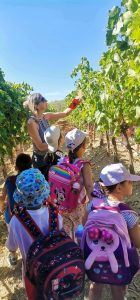 31764608 d923 4a50 b80b f6239724a9f4