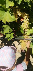 3847dddf afc5 4a9d b0f5 b9dc4be36e99