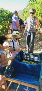 43b5e3b6 849a 4e04 83c3 c8b62a6d9b28