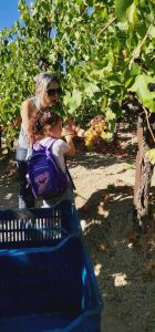 6a820027 cb77 4783 923d 360f6bb02a36