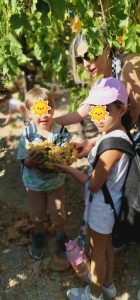 84995110 8156 4695 a986 92f0c3c77ace