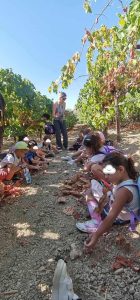 85b18cd0 d055 4005 8305 7174a7391f8f