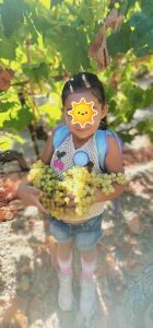 9823723b 697c 4673 99c4 18409aa8fc2d 1