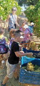 a4f0a864 55f2 44b8 8aca c21232a3b5a9