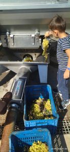 a634ae1b ac30 438c 888e 1299751590d1