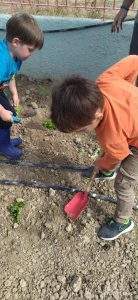 6c9a502e 0933 46c8 bb93 0b552f60d0c8