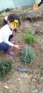 8c832fb5 ae48 4dbb 8f13 84a34efcebce