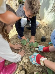 959174e3 ec09 475c a270 9ec1e92b769b