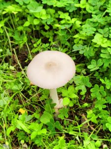 0ba2c098 a15b 49f5 a9eb 80d8414f3c6a