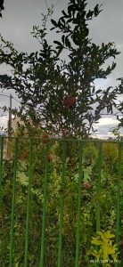 0e967d35 803e 4583 a453 cb07ac5e5eb4