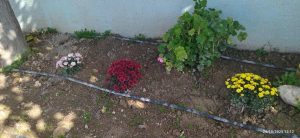 292d4bde 7154 4e45 931b 14a8284cf723