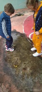 2d0605c4 c52e 439e ba97 2ab9509059bd