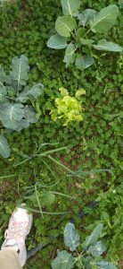 4145b3ab 166f 4a0b a360 15dfb70824e4