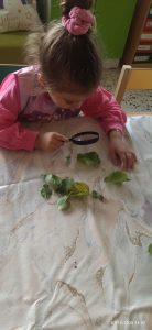 63bdb6be c6f4 4e48 93c3 9f1ff74e329c