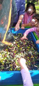 6a3637f7 ac08 4c49 9b0a 35775f812b2b