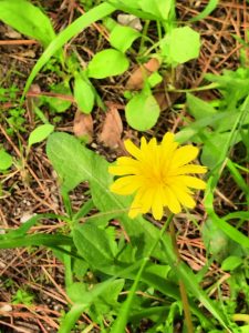 6c8874ec 52db 41d2 bb38 5b8d61eef630