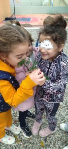 74988777 6330 417f ab5d 735deb7ef38b