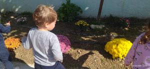 798acc75 a2f1 4f7f 8d0c 0322cc06c5ad