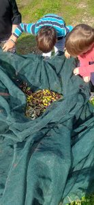 ba3c7f03 8993 482d aad5 e54dd0631e69