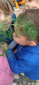 be1405f9 3330 4409 b01e c8da7deb42d9