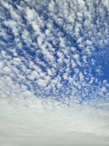 cf4f2f80 f933 4118 b4a8 04b3c477d777