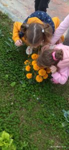 eac9f0aa 81b0 4384 aafe 41c38637e00b