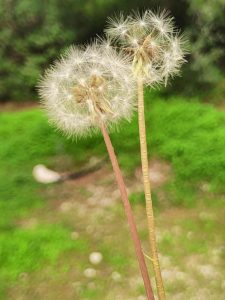 fc31c6b8 af19 45ee 9c2a cd0a49b809ad