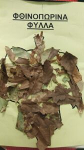 φύλλα κολάζ 2