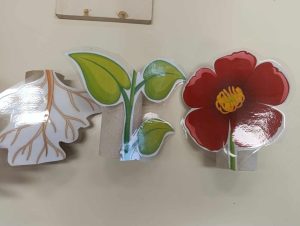 received 1157701039219837