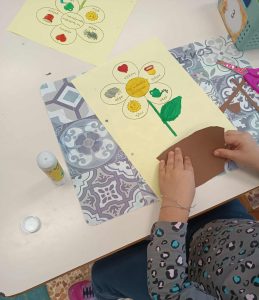 received 815606708102255