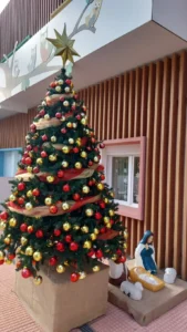 IMG 20241125 121150 111