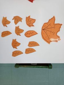 IMG 20211111 090758