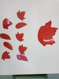 IMG 20211111 091017